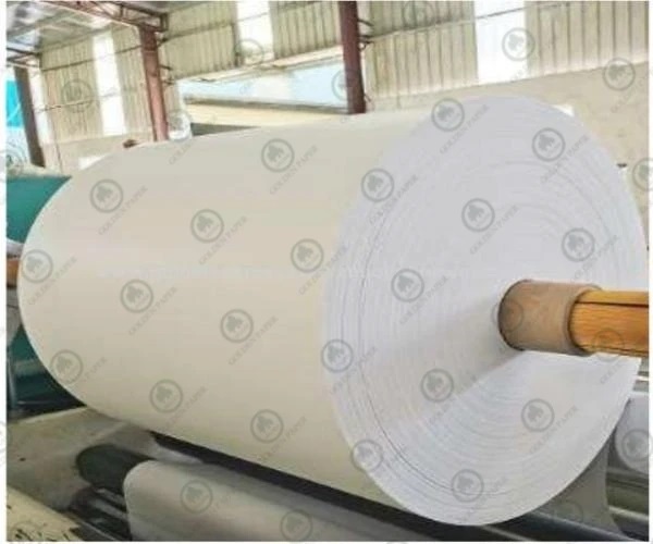 Advantages and Guide to Using Colored Thermal Paper